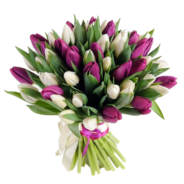  Congratulation