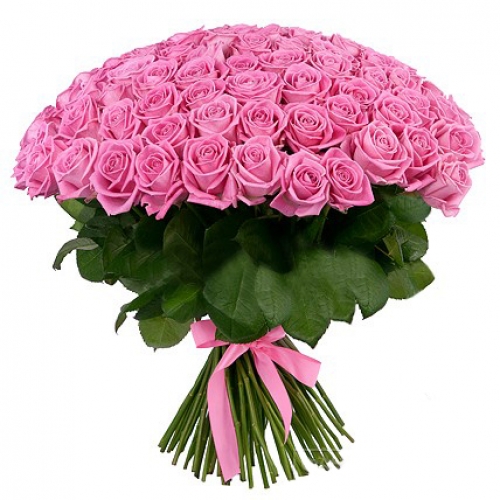 101 pink roses