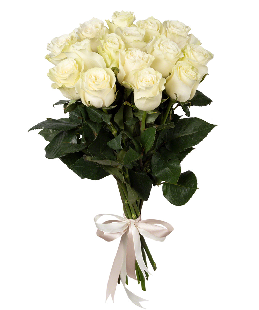 15 white roses
