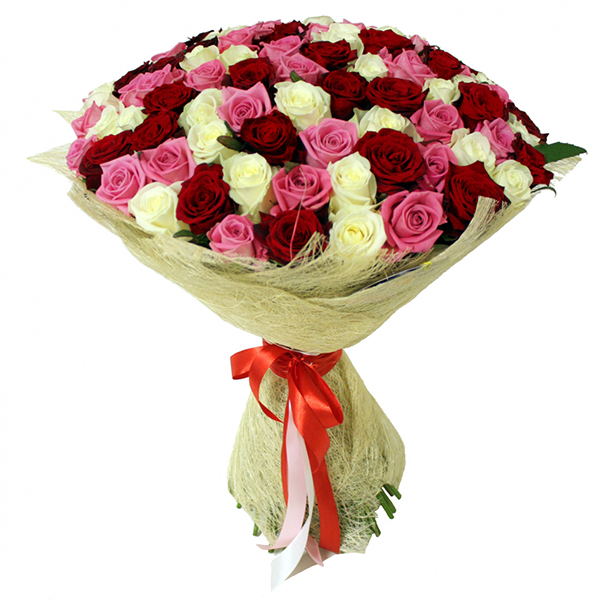  71 rose