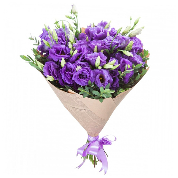  11 eustoma