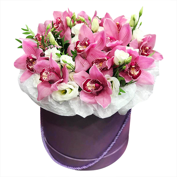  To my princess