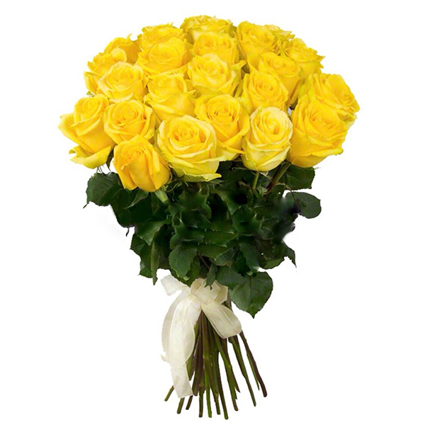 25 yellow roses