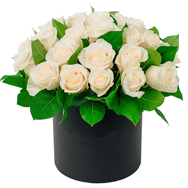Have a nice day