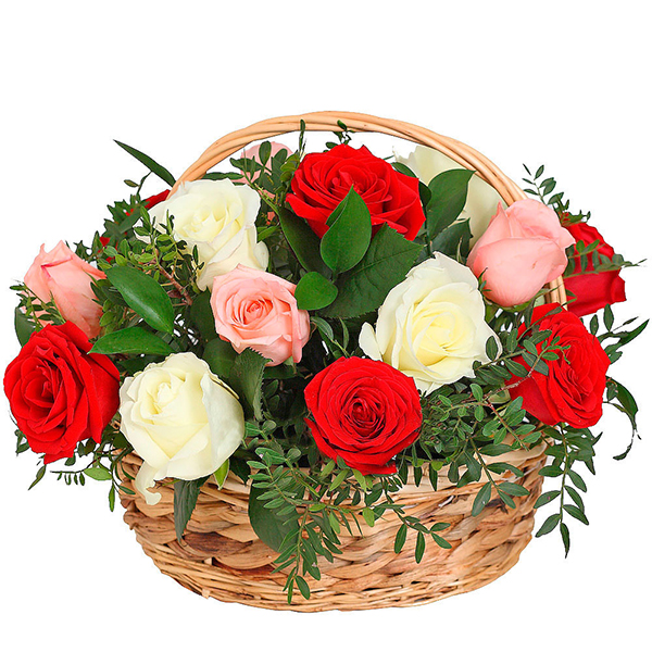 My congratulations