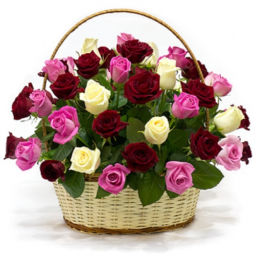 Everything for you..