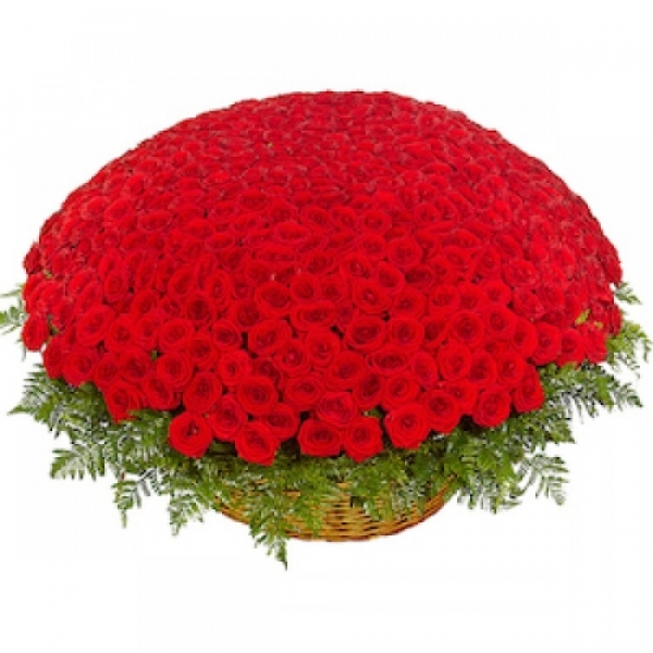 301 roses in a basket