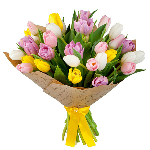  Women's Day