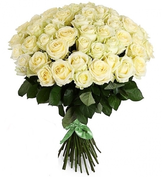 51 white roses