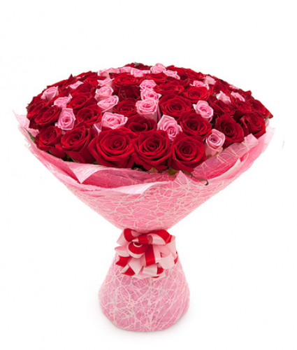 75 red and pink roses