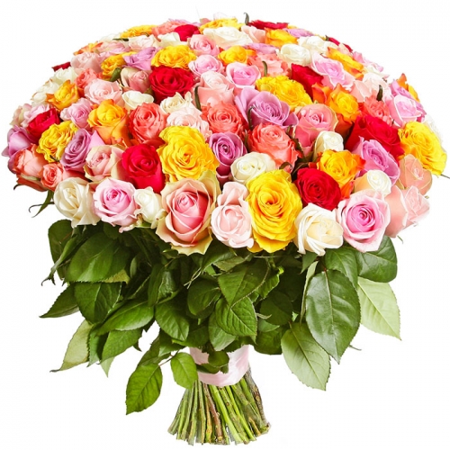 101 multi-colored roses