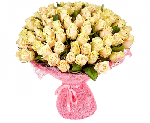 101 cream roses