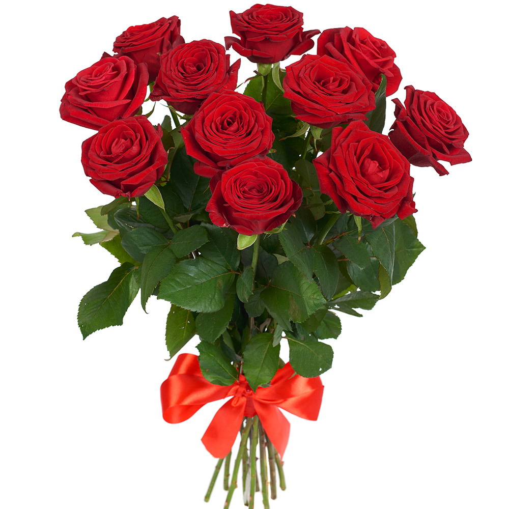 11 red roses