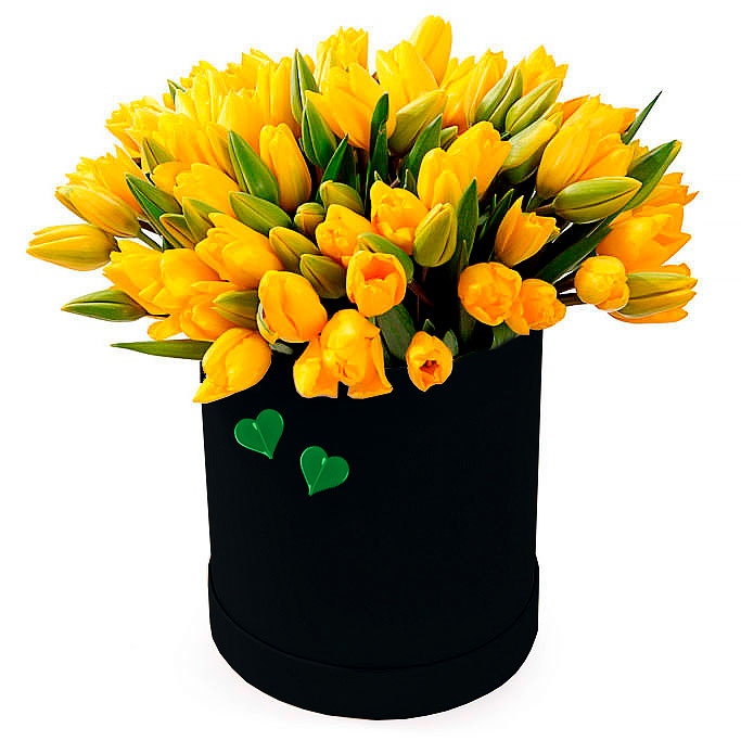 Yellow colors