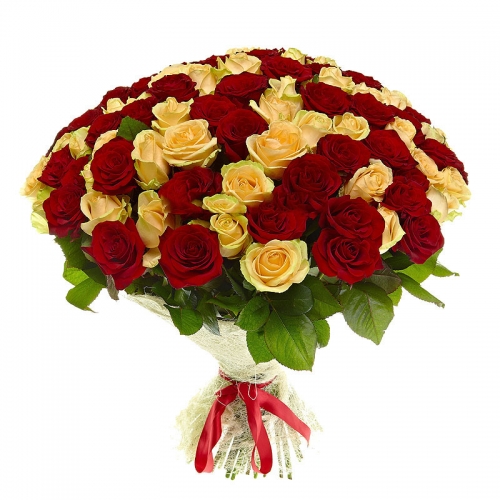 101 red and cream roses
