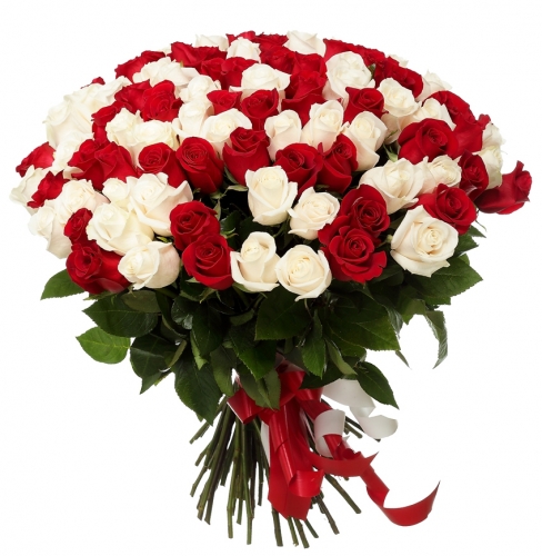 75 roses