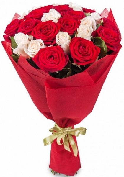 15 red and white roses