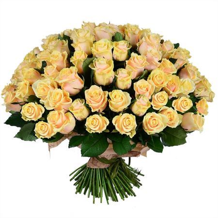 151 cream roses