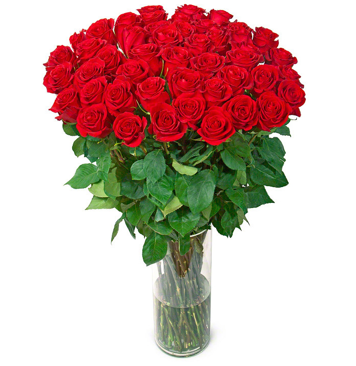 51 red roses