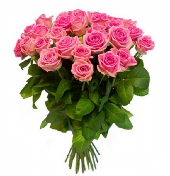 25 pink roses