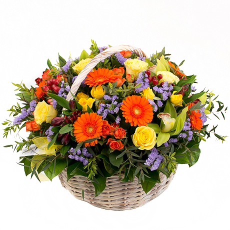 Blooming garden