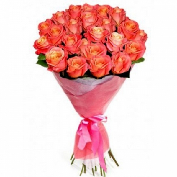 25 coral roses