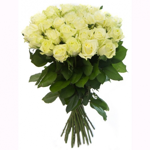 33 white roses