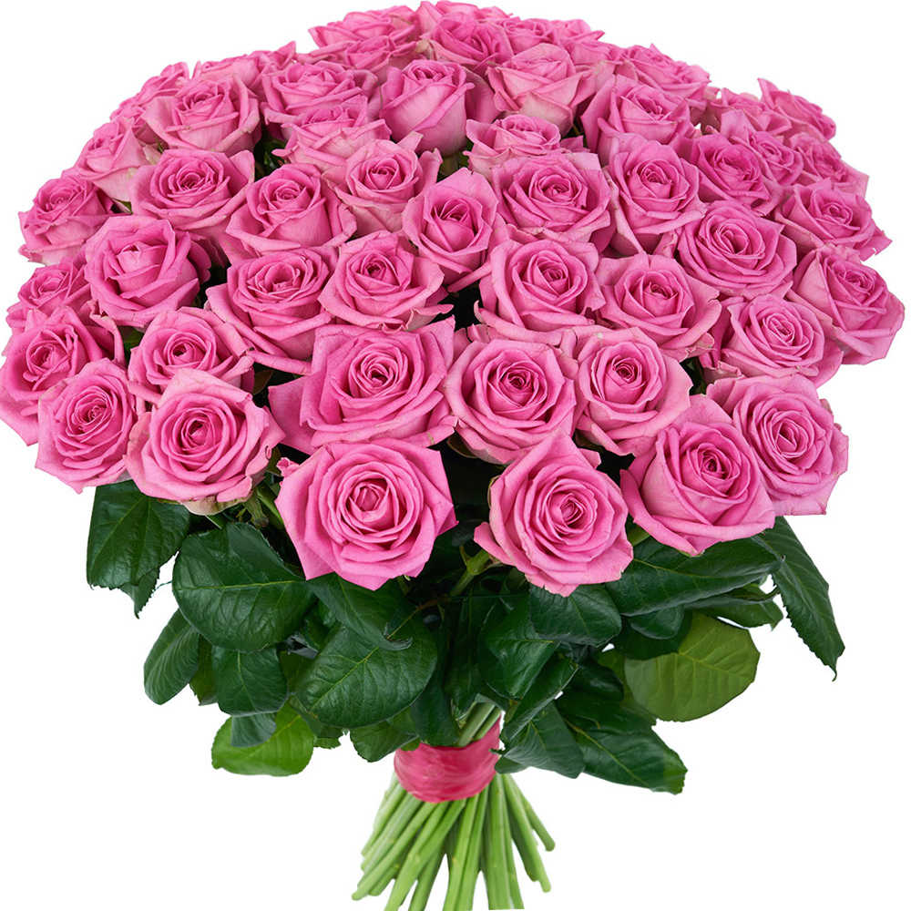 51 pink roses