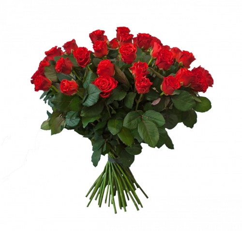 All the best to you!